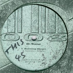 D-Tune  ‎– The Fan / Burning Down 