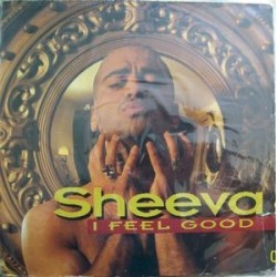  Sheeva ‎– I Feel Good (The Remixes) 