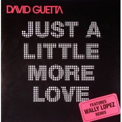 David Guetta ‎– Just A Little More Love 