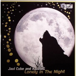Javi Cube And XaViReG - Lonely In The Night(Pokazo Recomendado x Dj RAi)