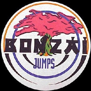 Bonzai Jumps