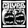 Calypso records