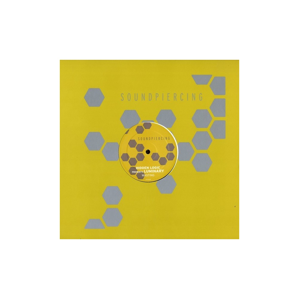 Hidden Logic Presents Luminary – Wasting 