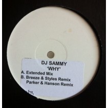 DJ Sammy – Why 