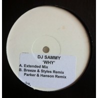 DJ Sammy – Why 
