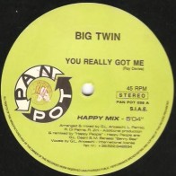 Big Twin  – You Really Got Me 