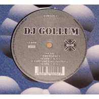 DJ Gollum – Fortunes 