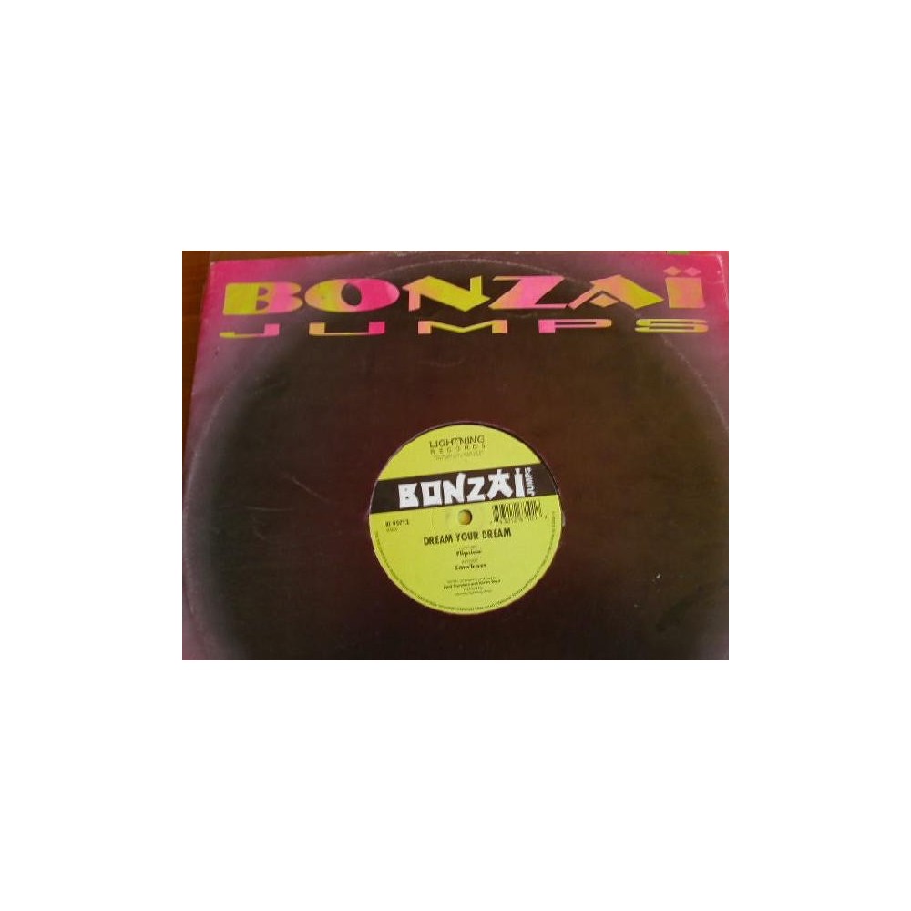 Dream Your Dream - Flipside