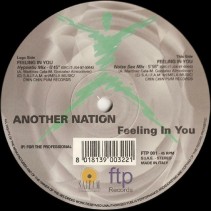 Another Nation ‎– Feeling In You 