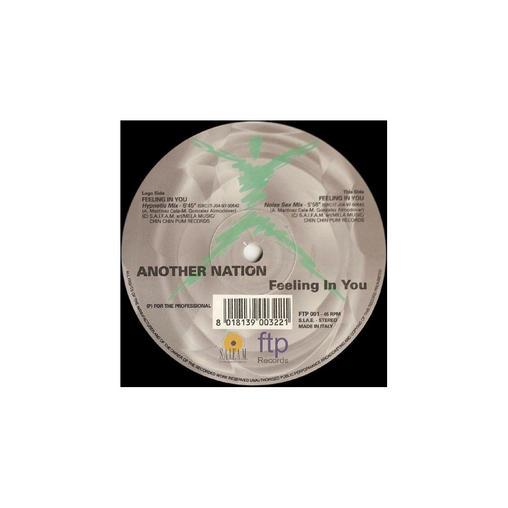 Another Nation ‎– Feeling In You 