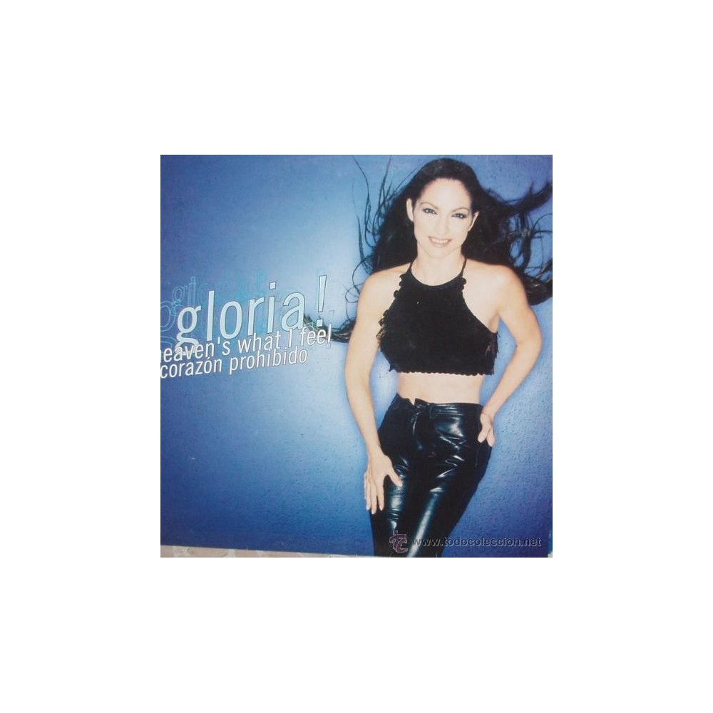 Gloria Estefan ‎– Heaven's What I Feel / Corazon Prohibido  (TEMAZO¡¡)