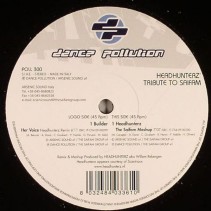 Builder / Headhunterz ‎– Headhunterz Tribute To Saifam 