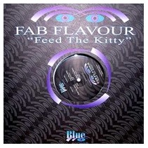 Fab Flavour ‎– Feed The Kitty 