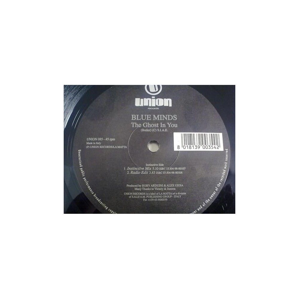 Blue Minds  ‎– The Ghost In You