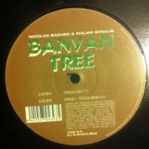 Nicholas Bacher & Philipp Straub ‎– Banyan Tree 