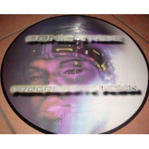 Sonic Tribe  ‎– Progressive Indian 