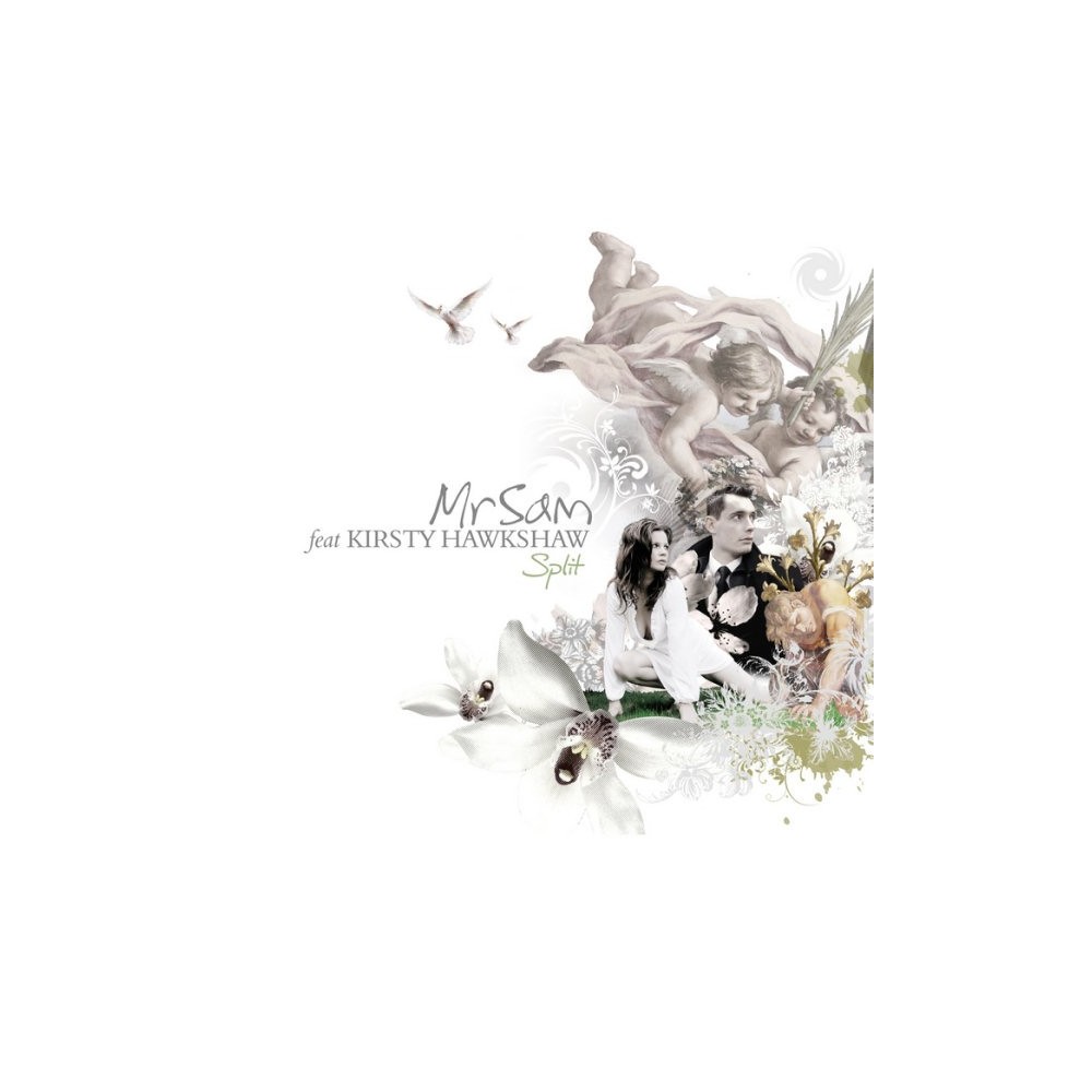 Mr Sam  Feat Kirsty Hawkshaw ‎– Split (REMIXES)