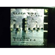 Black Bird  By Ghönsso & Tazz  ‎– Nirvana 