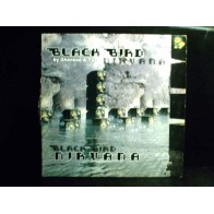 Black Bird  By Ghönsso & Tazz  ‎– Nirvana 