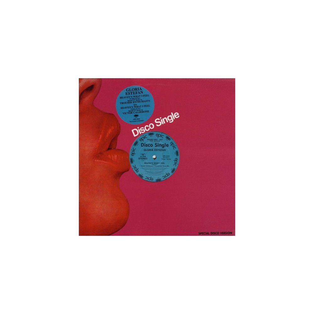 Gloria Estefan ‎– Heaven's What I Feel (REMIX TROUSER ENTHUSIASTS)