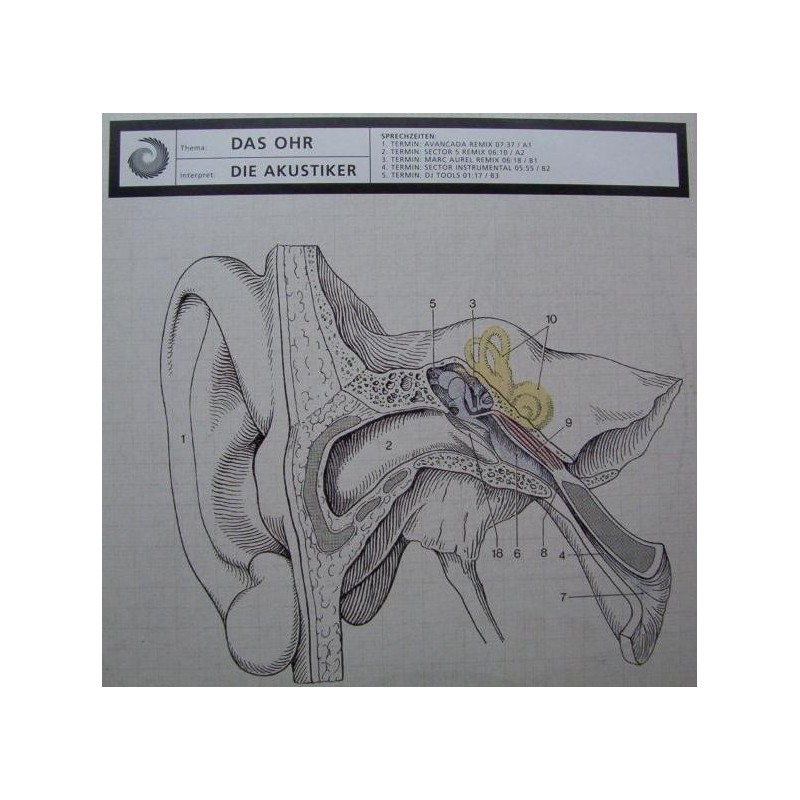 Die Akustiker ‎– Das Ohr 