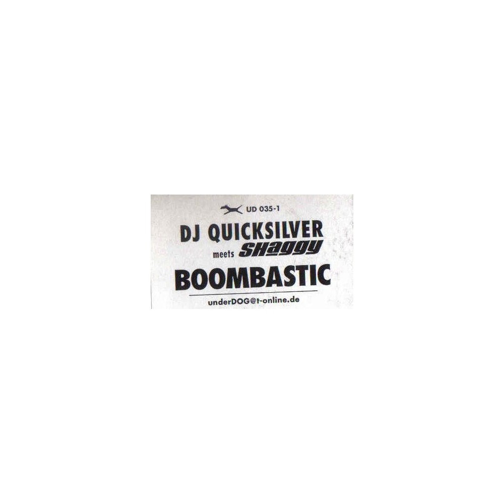 DJ Quicksilver Meets Shaggy  - Boombastic