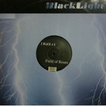 2 Black 4 U ‎– Field Of Roses