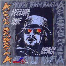 Afrika Bambaataa ‎– Feeling Irie (Remix) 