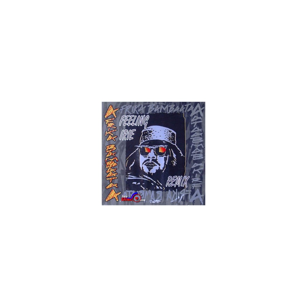 Afrika Bambaataa ‎– Feeling Irie (Remix) 
