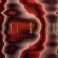 Anigeer ‎– You Came 