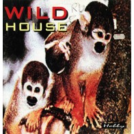 Wild House Featuring DJ Hobby - This Beats Non Stop