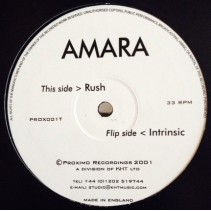 Amara ‎– Intrinsic