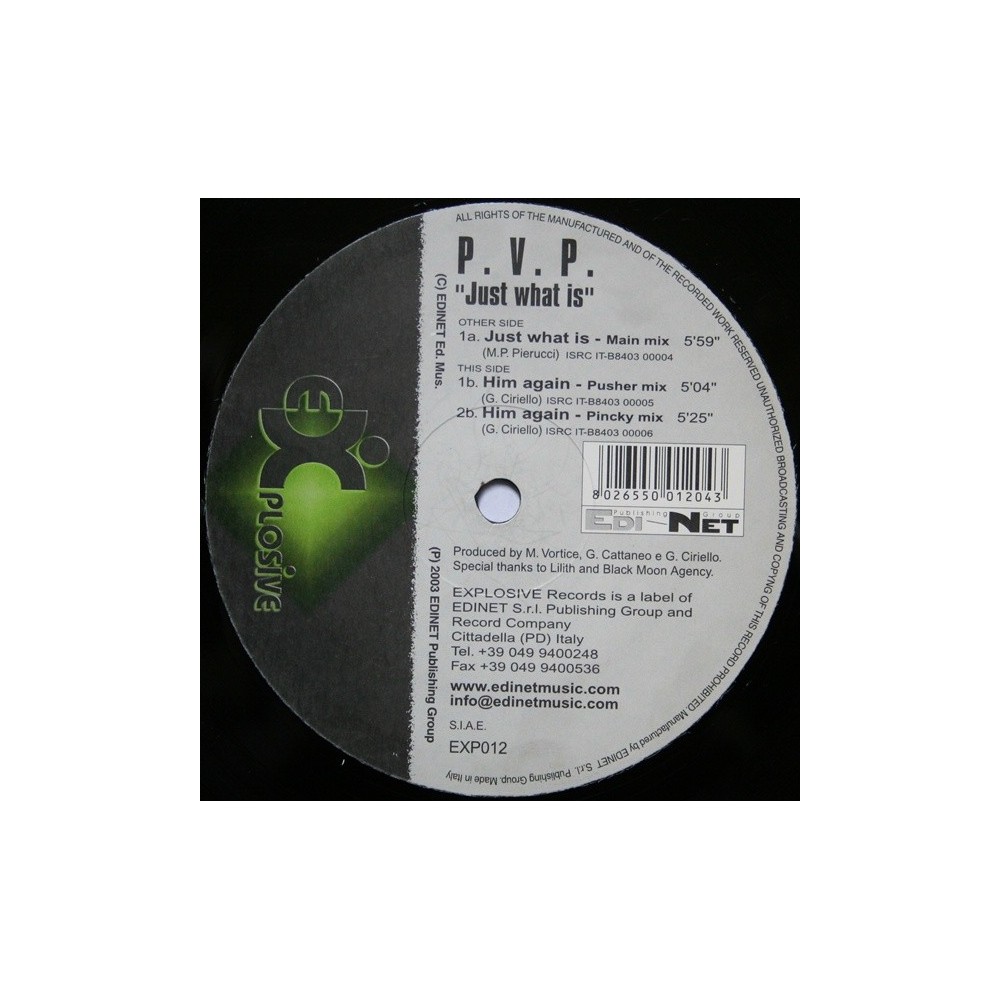 PVP ‎– Just What Is