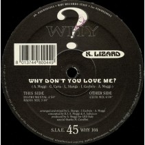 K. Lizard ‎– Why Don't You Love Me (IMPORT)