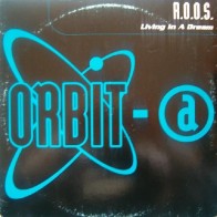 R.O.O.S. - Living In A Dream