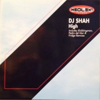 DJ Shah ‎– High (INSOLENT)