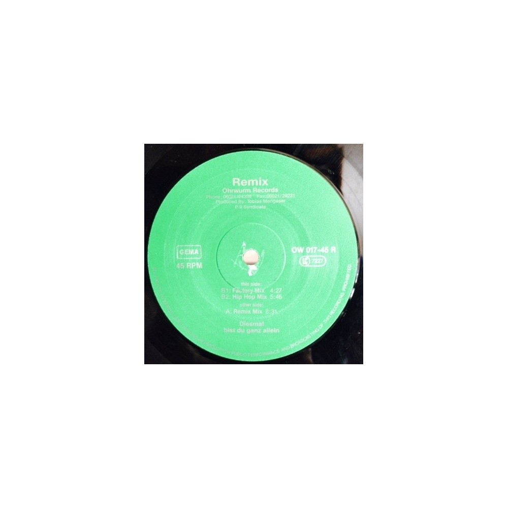 P II Syndicate ‎– Diesmal Bist Du Ganz Allein (Remix)