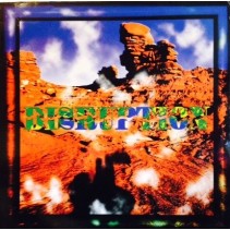 Disruption ‎– Disruption