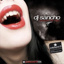 Dj Sancho-because the night