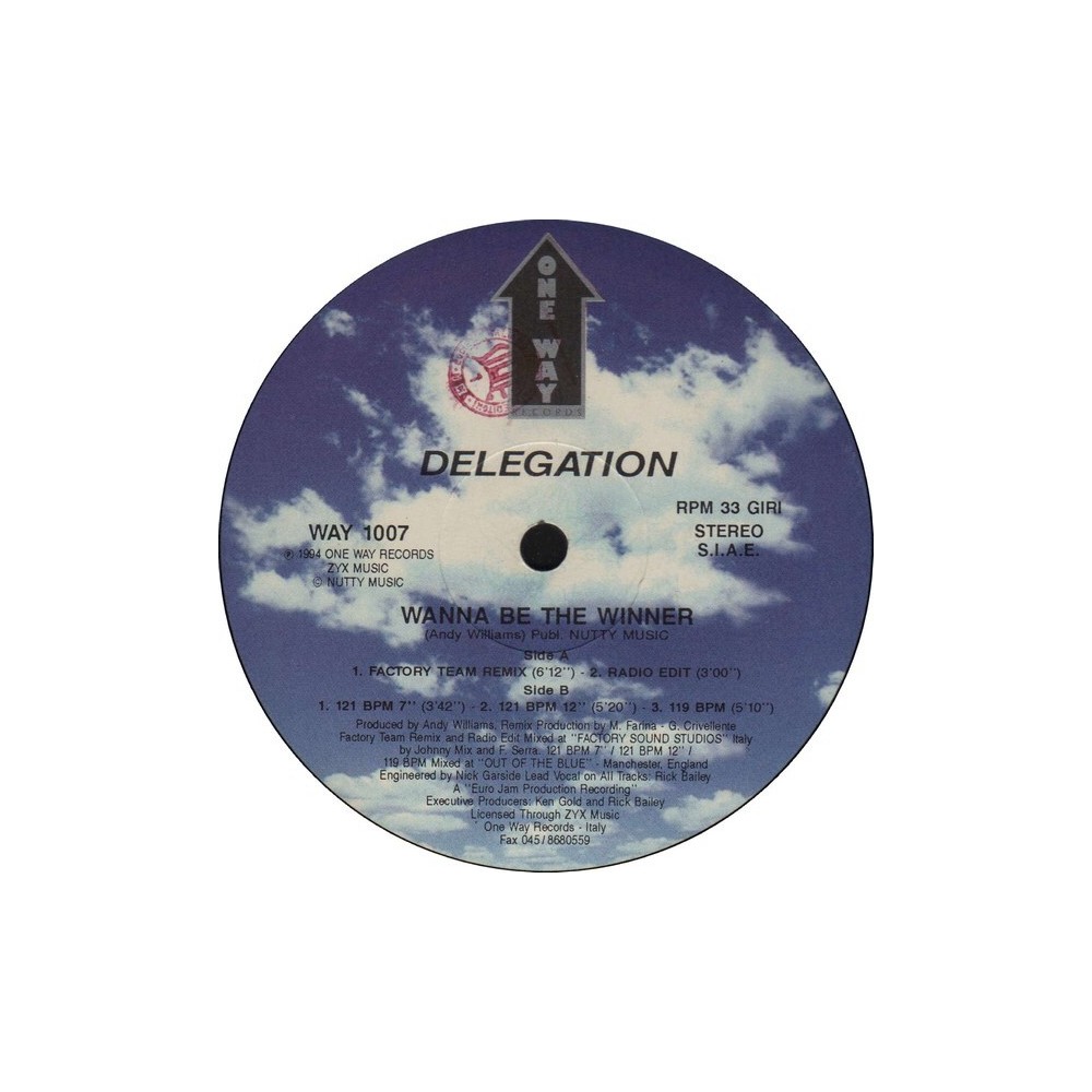 Delegation - Wanna Be The Winner