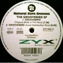 Natural Born Grooves - The Groovebird EP (ZYX MUSIC)