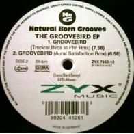 Natural Born Grooves - The Groovebird EP (ZYX MUSIC)