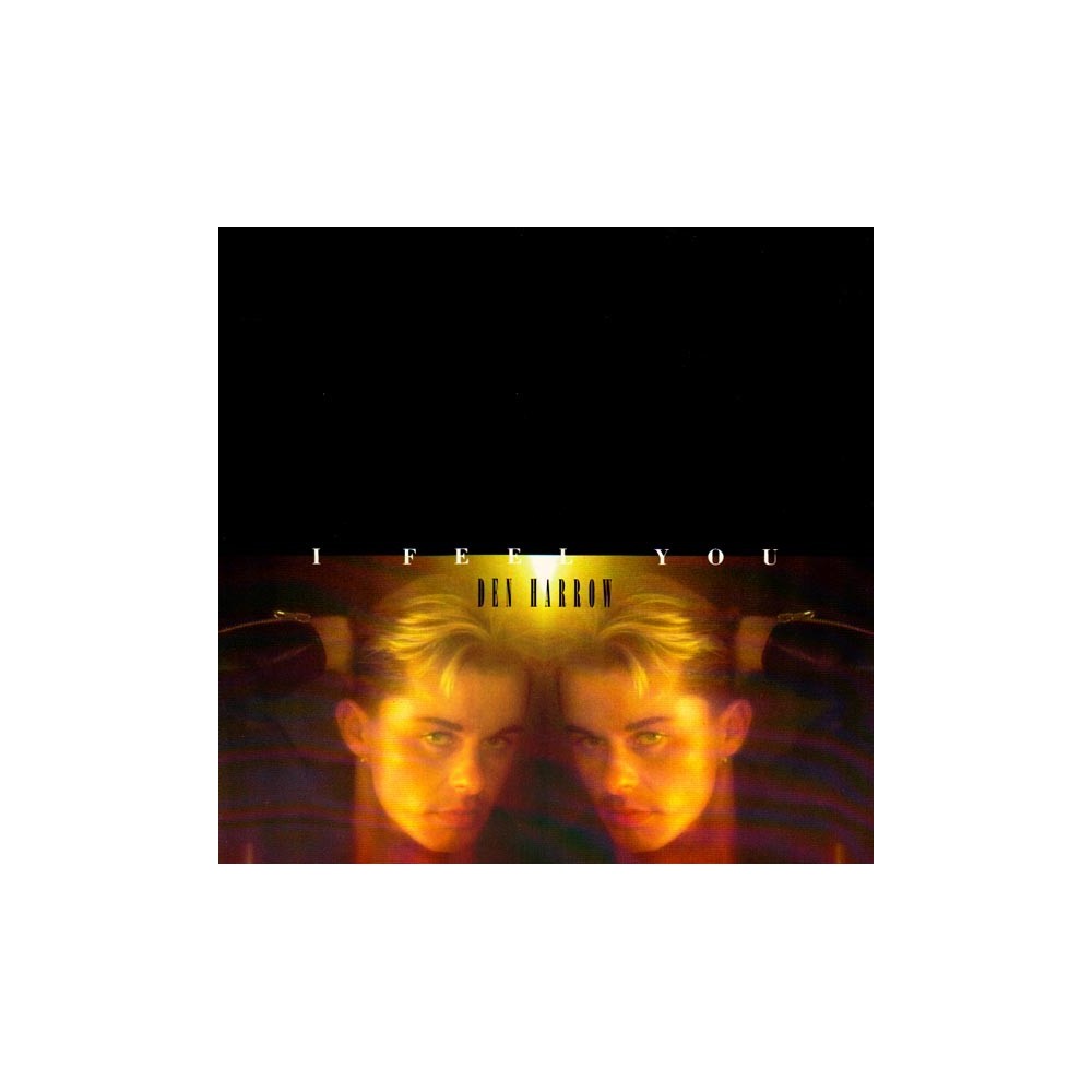  Den Harrow ‎– I Feel You