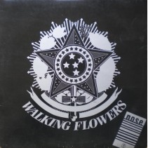 Walking Flowers ‎– A Lover Spurned