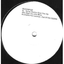  Bucks Fizz ‎– Never Gonna Give You Up / Glad You Are Mine