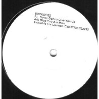  Bucks Fizz ‎– Never Gonna Give You Up / Glad You Are Mine