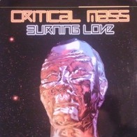 Critical Mass ‎– Burnin Love