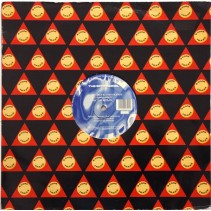 The Scoundrel - Bionic Measures