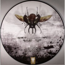 Synapse ‎– Vows Of Doubt 