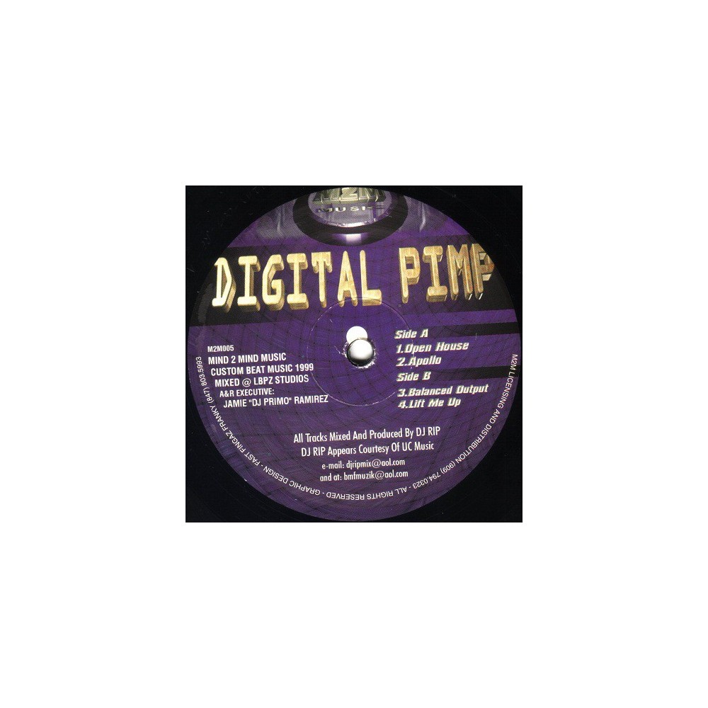 DJ Rip ‎– Digital Pimp